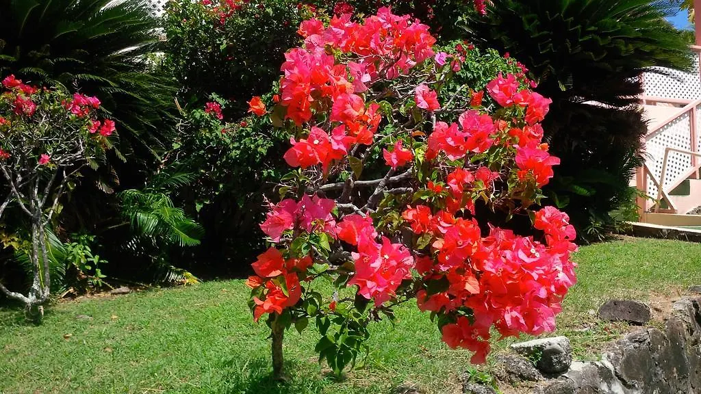 Bougainvillea Apartments St. George's